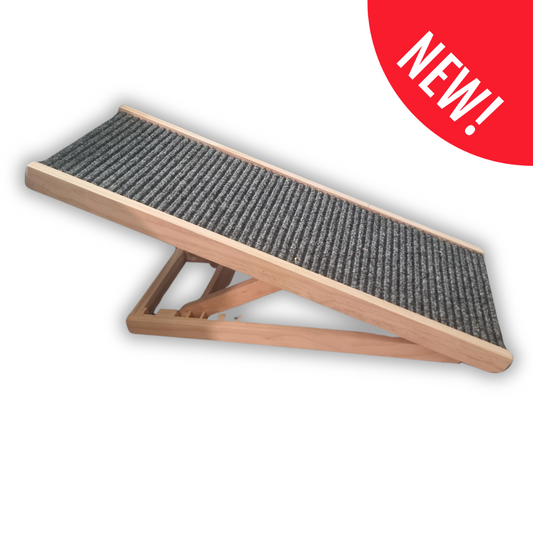 Mini Dashie Dog Ramp